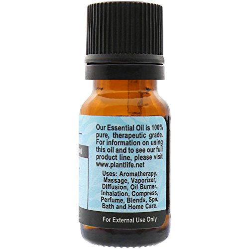 Етерично масло от Мента за ароматерапия Plantlife - Директно от растенията, Чисто Терапевтични масло - Без добавки и пълнители - 10 мл