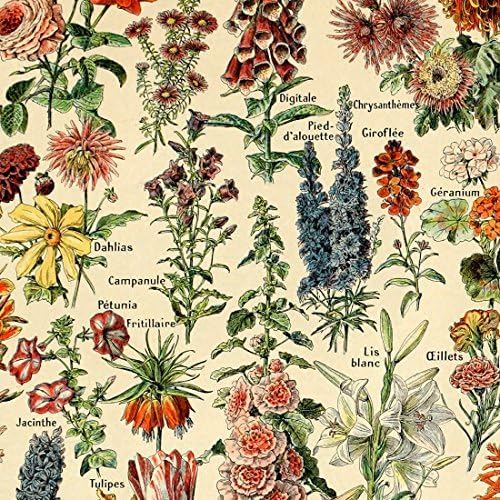 Meishe Art Ретро Плакат С Флорални Принтом, Цветя Ботанически Колекции, Градински Цветя и Растения, Идентификация Помощна Таблица,
