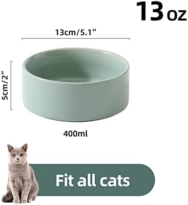 Керамичен комплект Havniva, състоящ се от 2 Мисок за котешки храна и вода, Чаши за Коте, Котешки ястия, Хранилки за котки, 5-Инчов