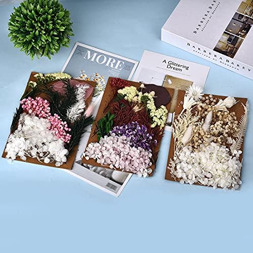 ДАЛАРАН 5 Опаковки Изсушени Пресовани цветя за производство на катран и Свещи Няколко Пресовани Естествени цветове, Пъстри Декоративни