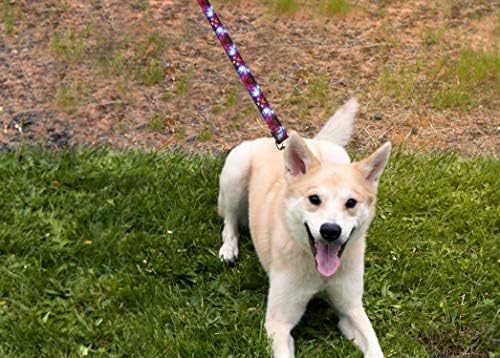 Moose Пет Носете Deluxe Dog Leash - Здрави каишки за домашни любимци с модел, направени в САЩ, в размер на 1 инч х 4 метра, с изящен